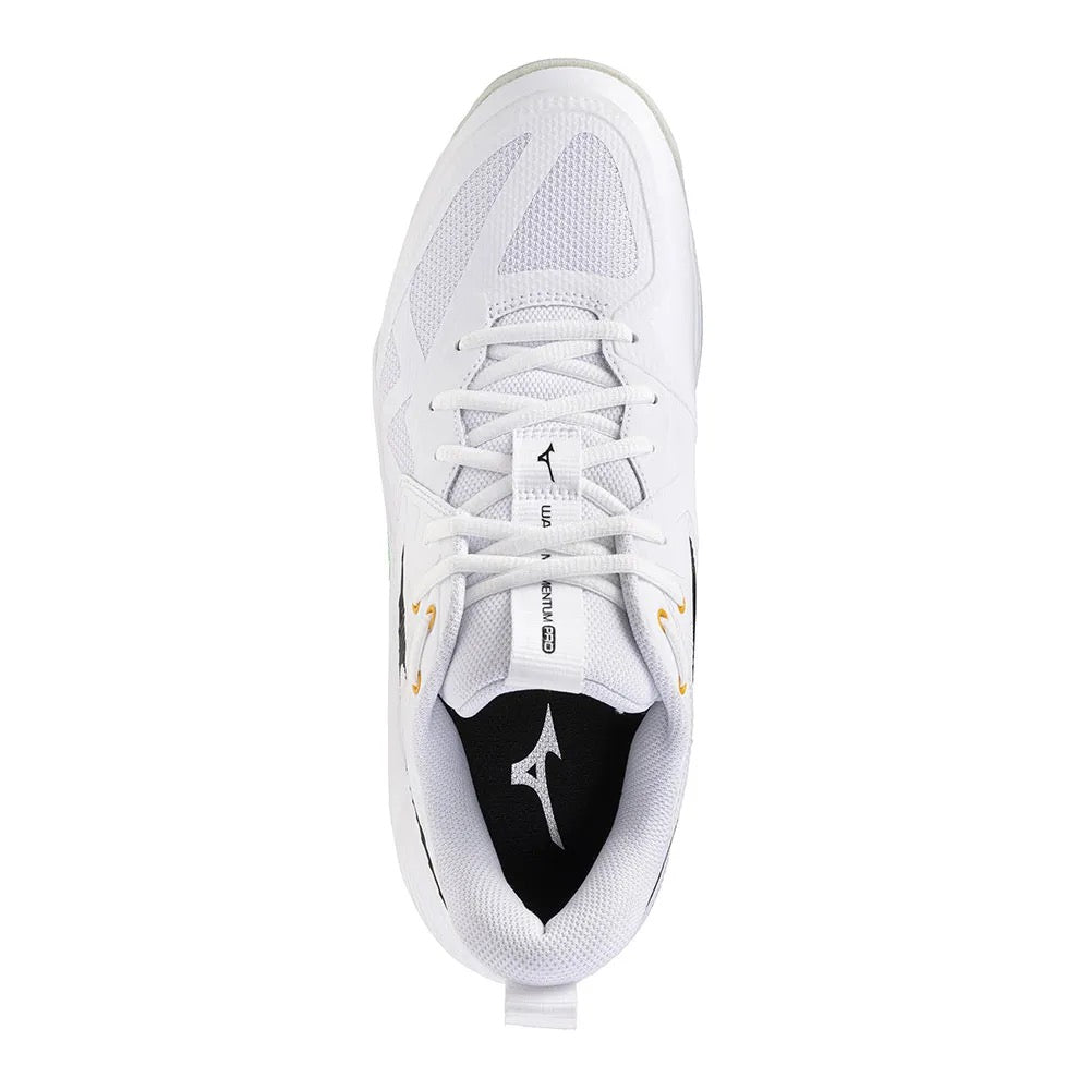 Mizuno Wave Momentum Pro