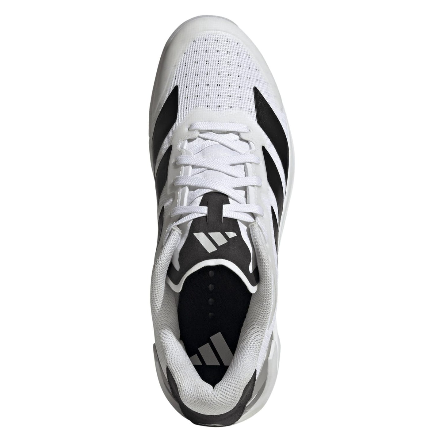 Adidas ADIZERO COUNTERBLAST